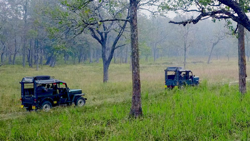 wildlife jeep safari wayanad